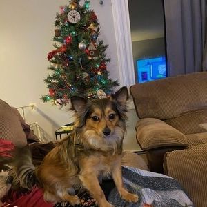 Meet your Posher, Bryan